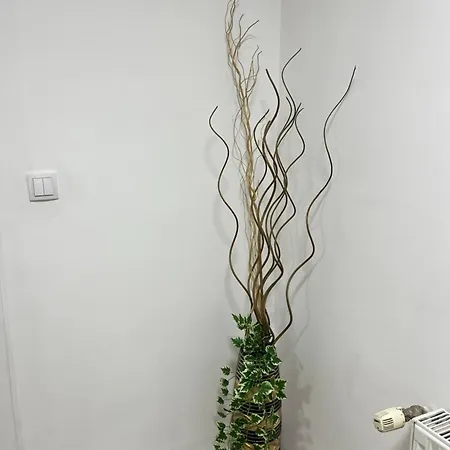 Irma Apartment