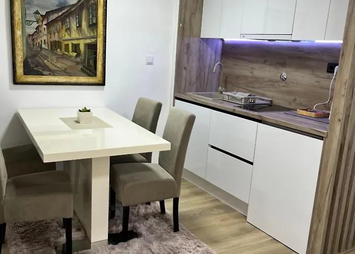 公寓 Irma 塞拉耶佛