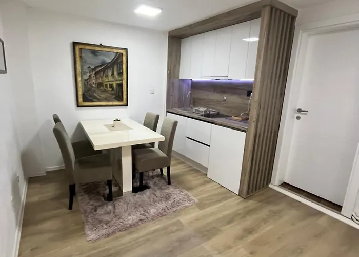 公寓 Irma 塞拉耶佛