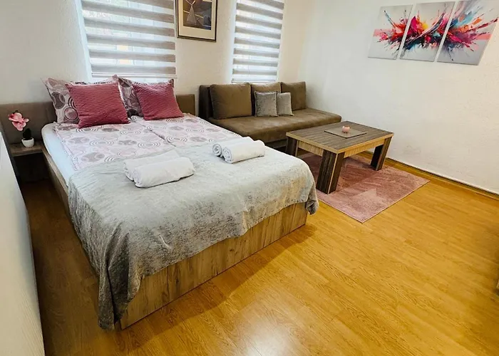 公寓 Irma 塞拉耶佛