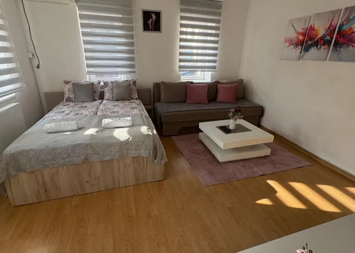 公寓 Irma 塞拉耶佛