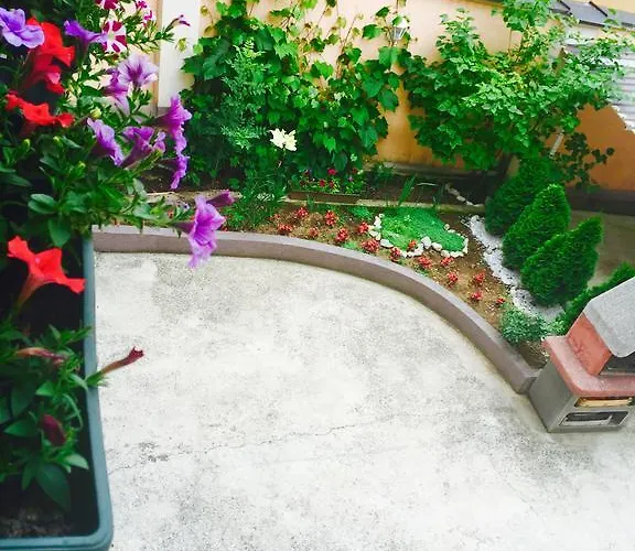 公寓 Irma 塞拉耶佛